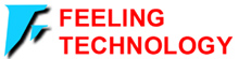 Feeling Technology